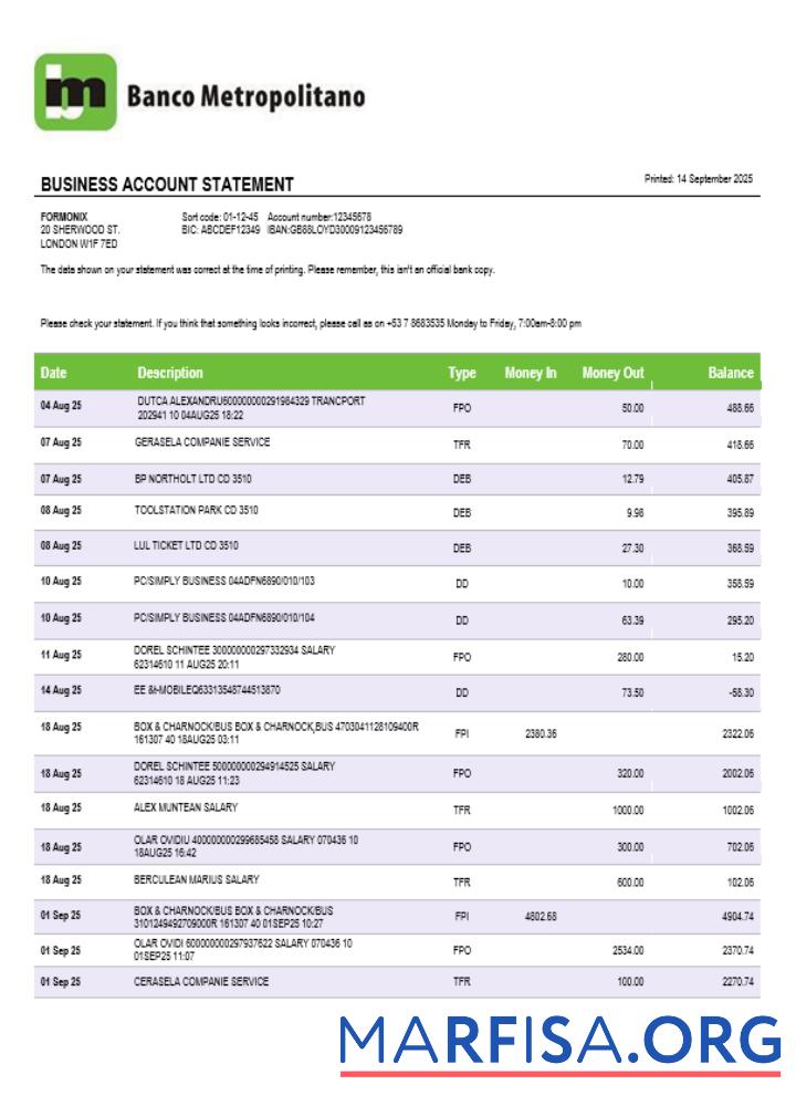 Realistic Banco Metropolitano organization checking account statement Word and PDF template